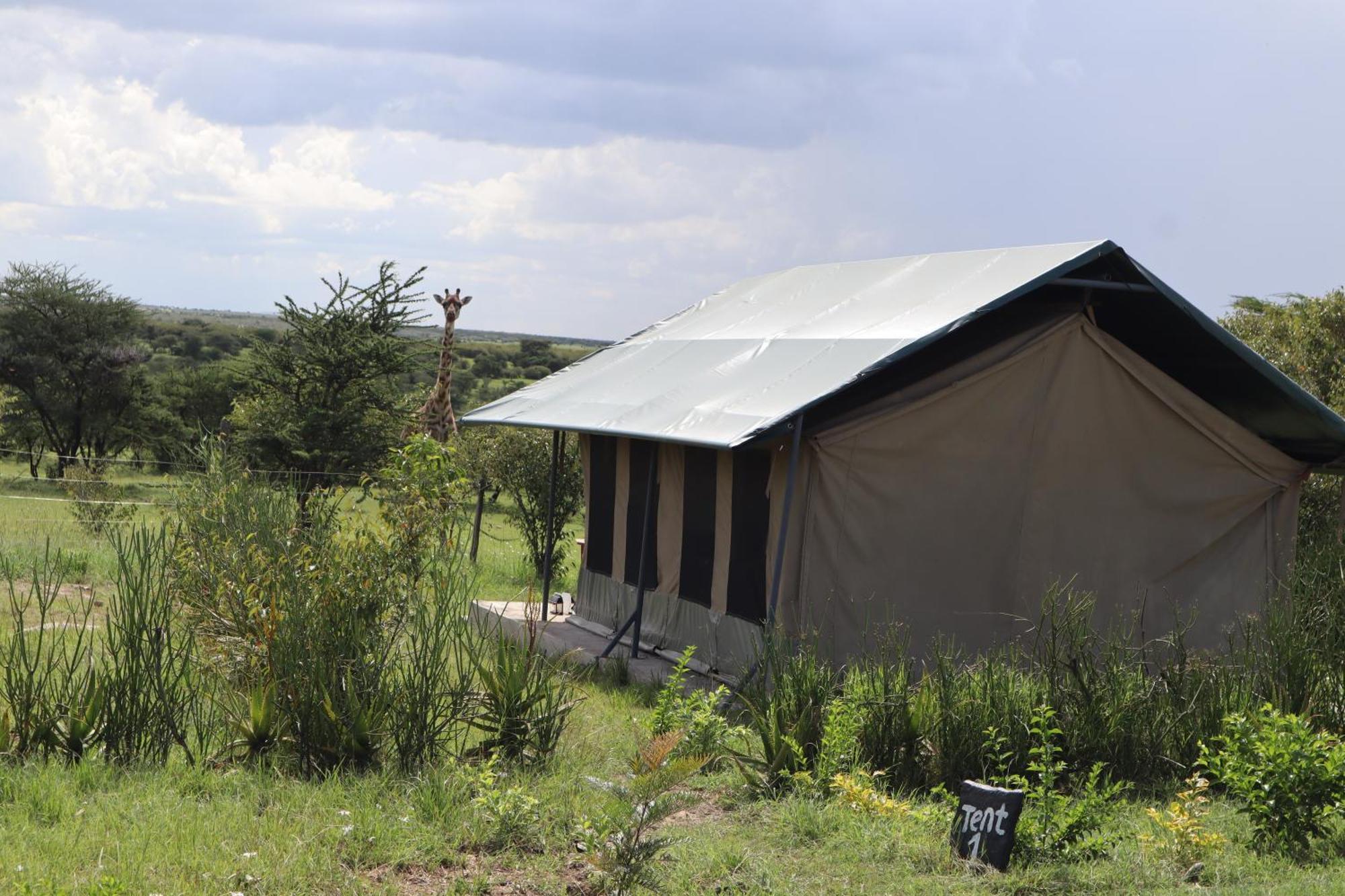 מלון Sekenani Kambu Mara Camp מראה חיצוני תמונה